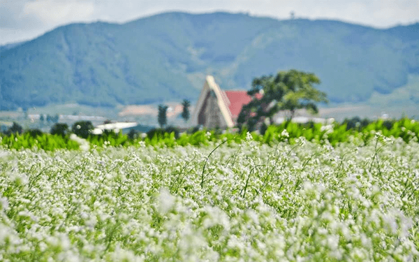 NGÀY 3 | HỒ TUYỀN LÂM - NHÀ GA ĐÀ LẠT - DINH BẢO ĐẠI