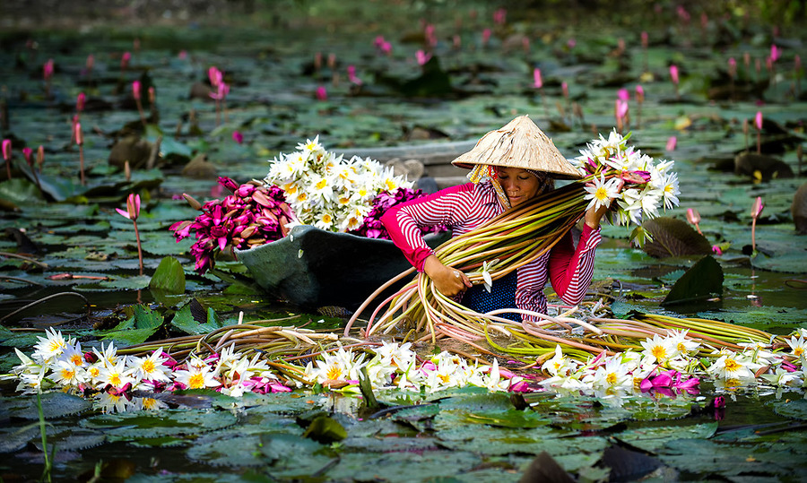 Ngày 03 CẦN THƠ- CHÂU ĐỐC – CẦN THƠ