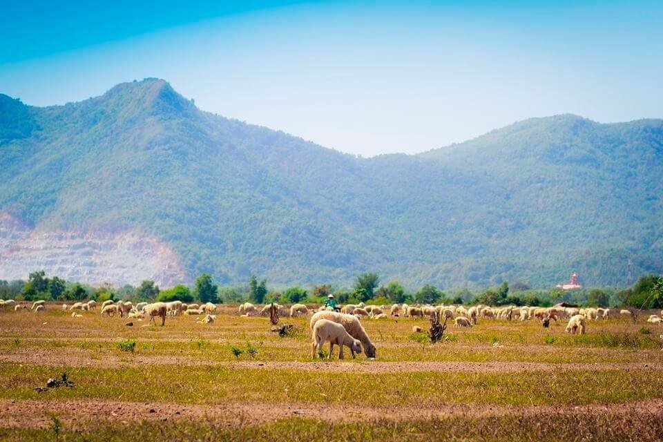 NGÀY 1: HÀ NỘI – TP HỒ CHÍ MINH – VŨNG TÀU (ĂN TRƯA, TỐI)