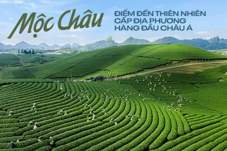 Tour Mộc Châu Sơn La – 2N1Đ – TRSL006